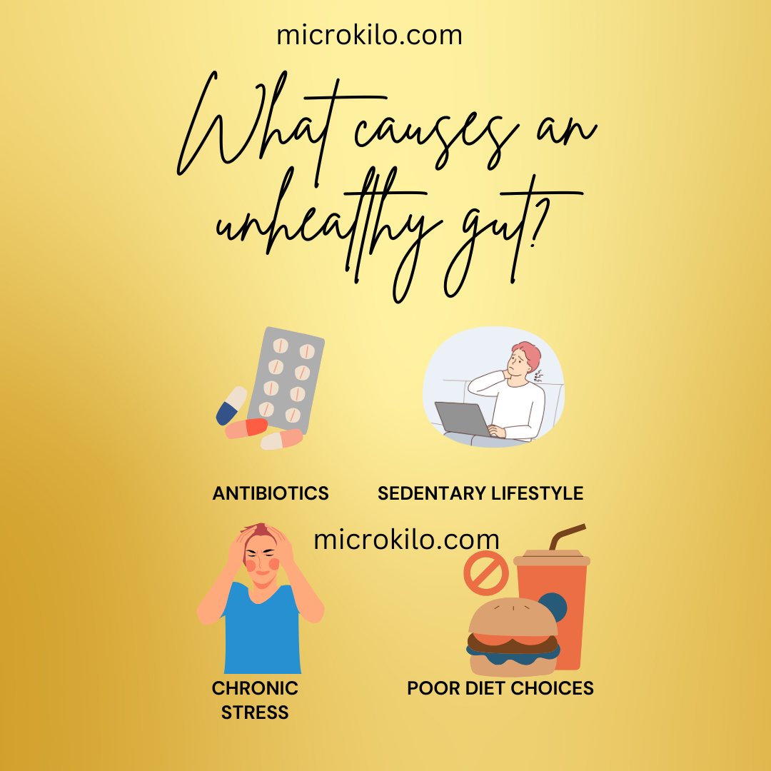 Achieving a Lean Gut: Your Comprehensive Guide to Gut Health. - microkilo