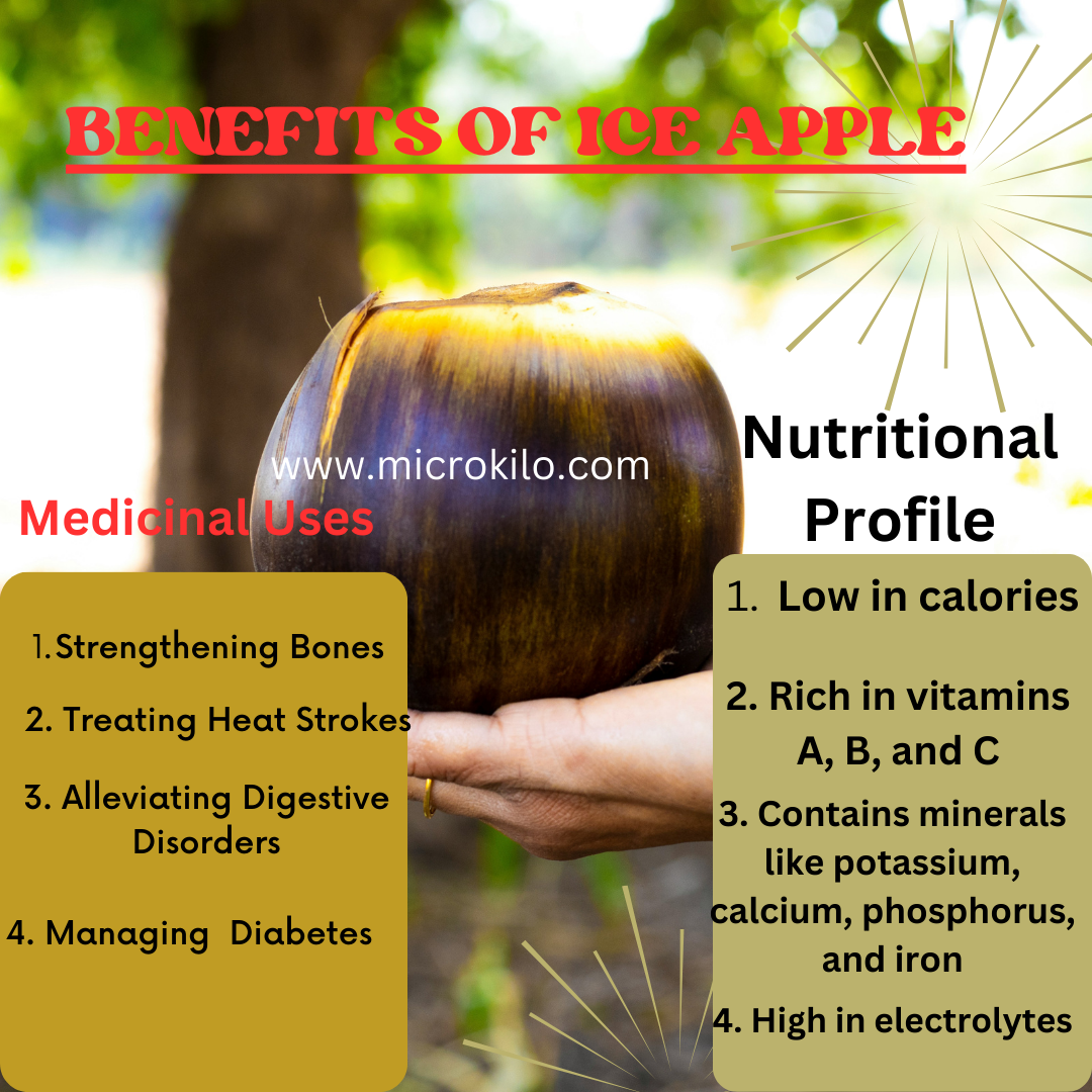 The Refreshing Delight Of Ice Apple Benefits Uses And More Microkilo the-refreshing-delight-of-ice-apple-benefits-uses-and-more-microkilo